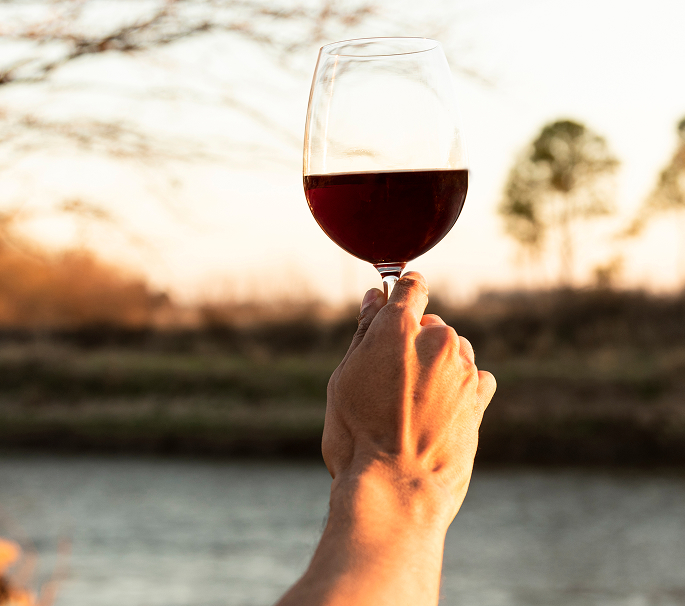 Servicio Gastro Tours 01